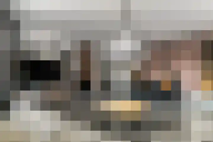 Zuideinde 18 Dinteloord thumbnail 10
