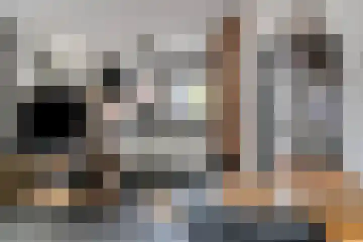 Zuideinde 18 Dinteloord thumbnail 15