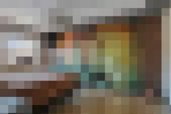 Zuideinde 18 Dinteloord thumbnail 22
