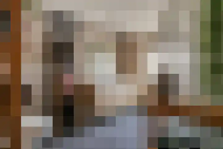 Zuideinde 18 Dinteloord thumbnail 25