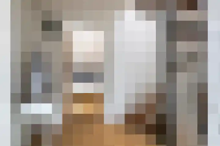 Zuideinde 18 Dinteloord thumbnail 32
