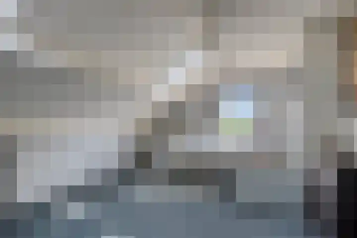 Zuideinde 18 Dinteloord thumbnail 35