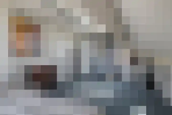 Zuideinde 18 Dinteloord thumbnail 36