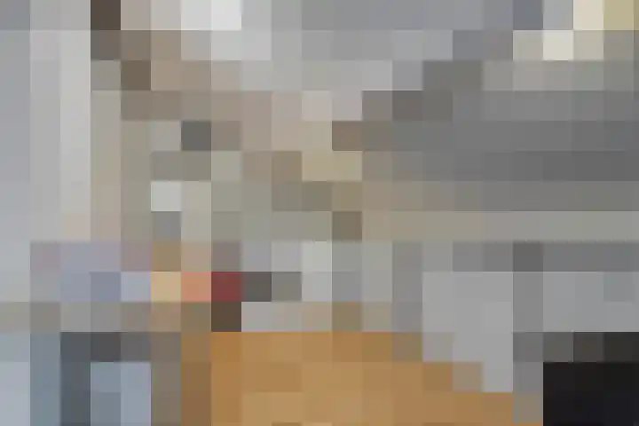 Zuideinde 18 Dinteloord thumbnail 38