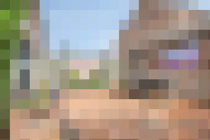 Zuideinde 18 Dinteloord thumbnail 39