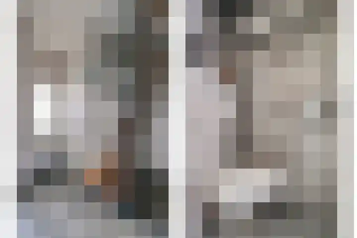 Zuideinde 18 Dinteloord thumbnail 4
