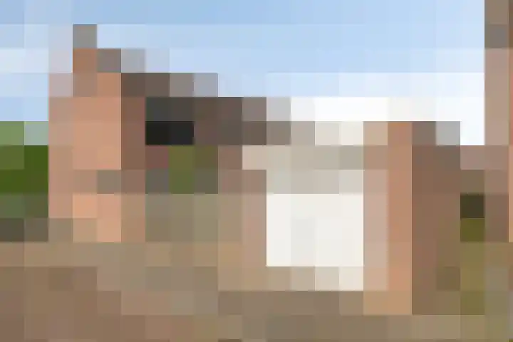 Zuideinde 18 Dinteloord thumbnail 44