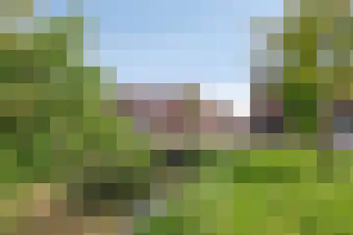Zuideinde 18 Dinteloord thumbnail 49