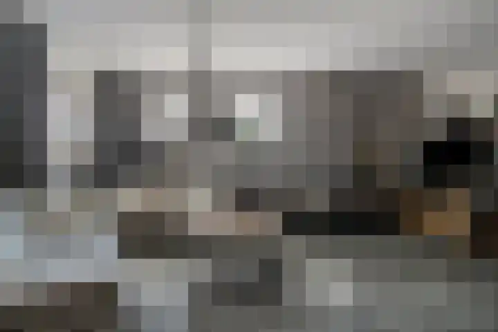 Zuideinde 18 Dinteloord thumbnail 8
