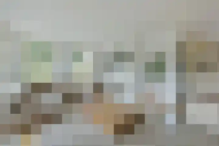 Zuideinde 19 Nieuwkoop thumbnail 10