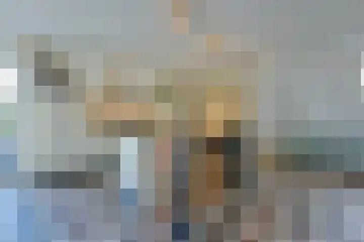 Zuideinde 19 Nieuwkoop thumbnail 22