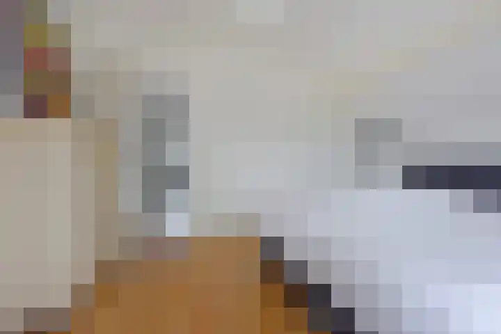 Zuideinde 19 Nieuwkoop thumbnail 31