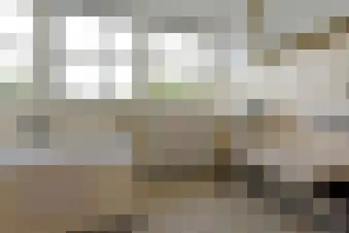 Zuideinde 19 Nieuwkoop thumbnail 32
