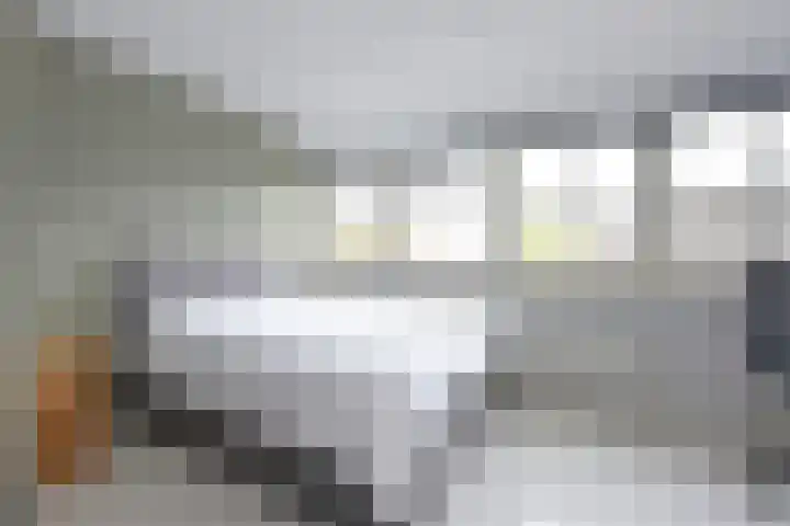 Zuideinde 19 Nieuwkoop thumbnail 34