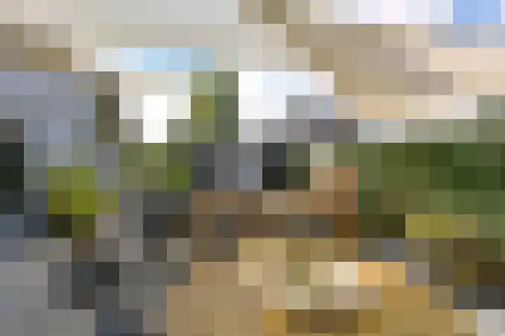 Zuideinde 19 Nieuwkoop thumbnail 38