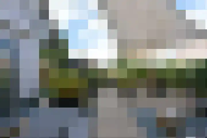 Zuideinde 19 Nieuwkoop thumbnail 39