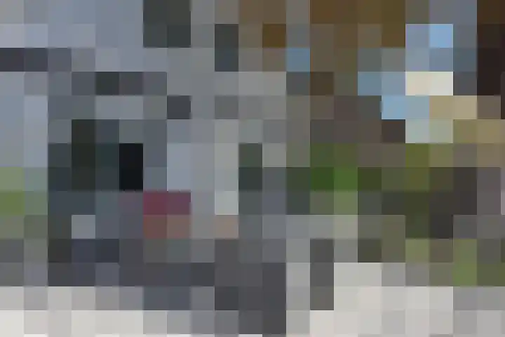 Zuideinde 19 Nieuwkoop thumbnail 41