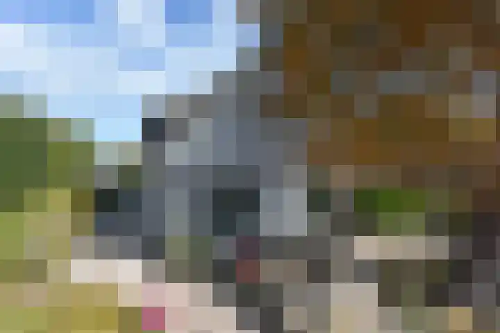 Zuideinde 19 Nieuwkoop thumbnail 43