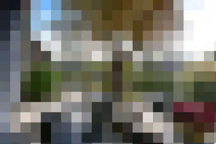 Zuideinde 19 Nieuwkoop thumbnail 45
