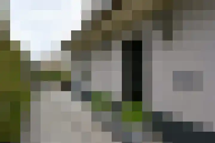 Zuideinde 19 Nieuwkoop thumbnail 46