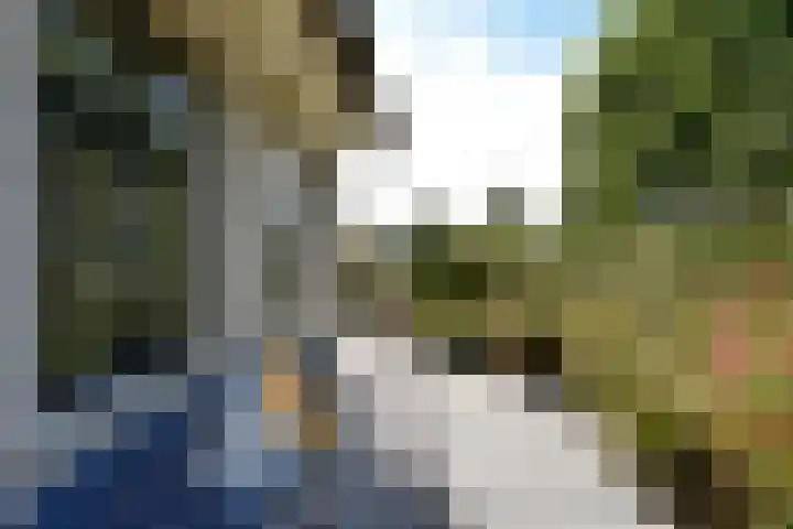 Zuideinde 19 Nieuwkoop thumbnail 47