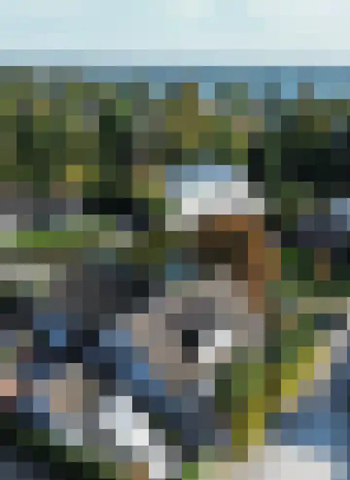 Zuideinde 19 Nieuwkoop thumbnail 48