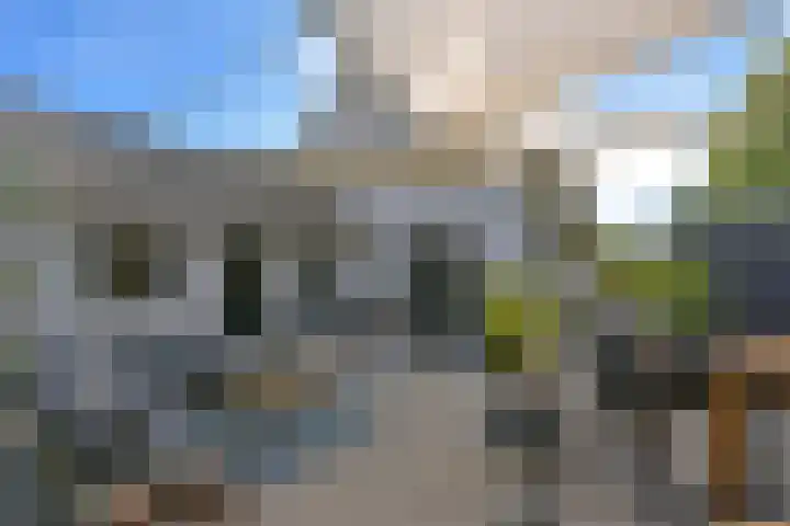 Zuideinde 19 Nieuwkoop thumbnail 5