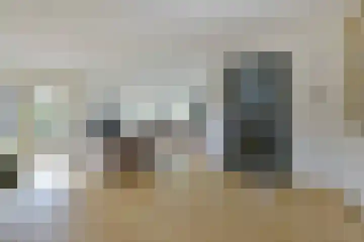 Zuideinde 19 Nieuwkoop thumbnail 6