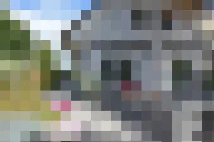 Zuideinde 19 Nieuwkoop thumbnail 7