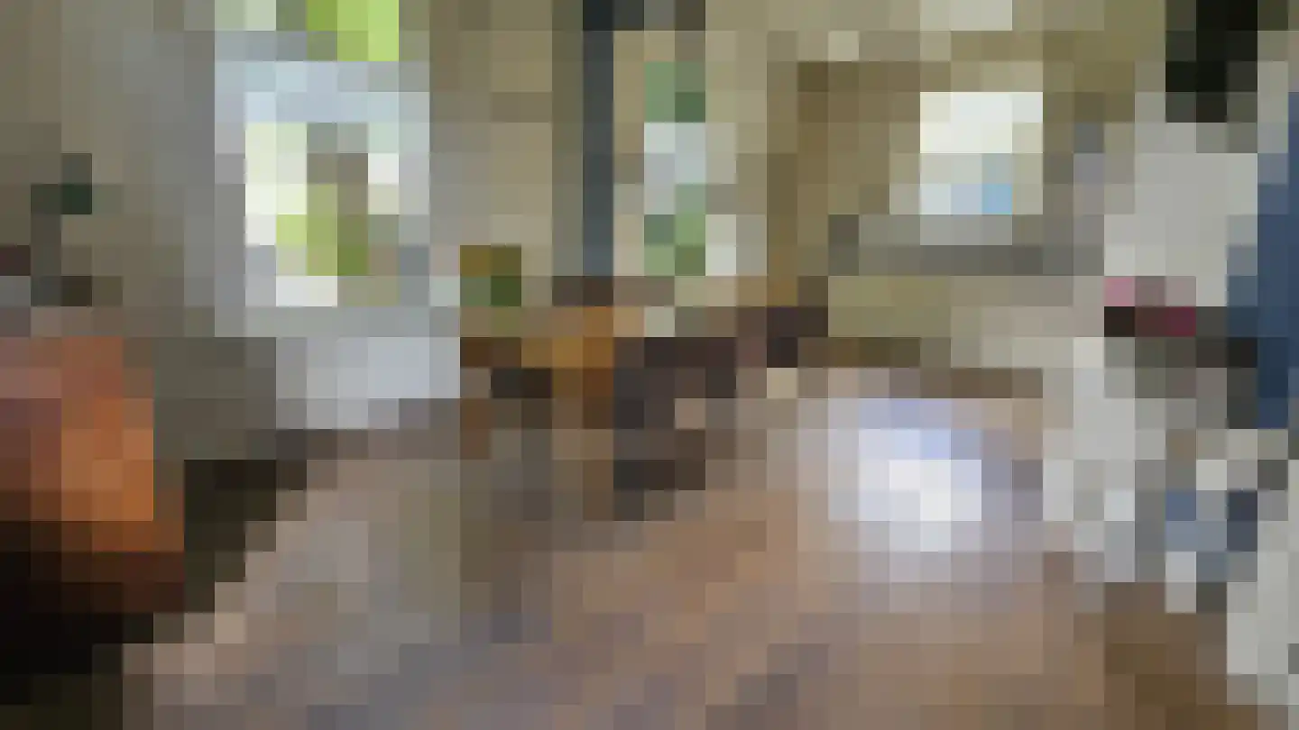 Zuideinde 190 Westzaan thumbnail 10