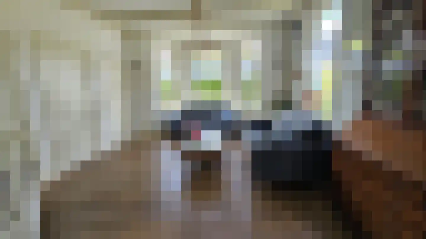 Zuideinde 190 Westzaan thumbnail 13