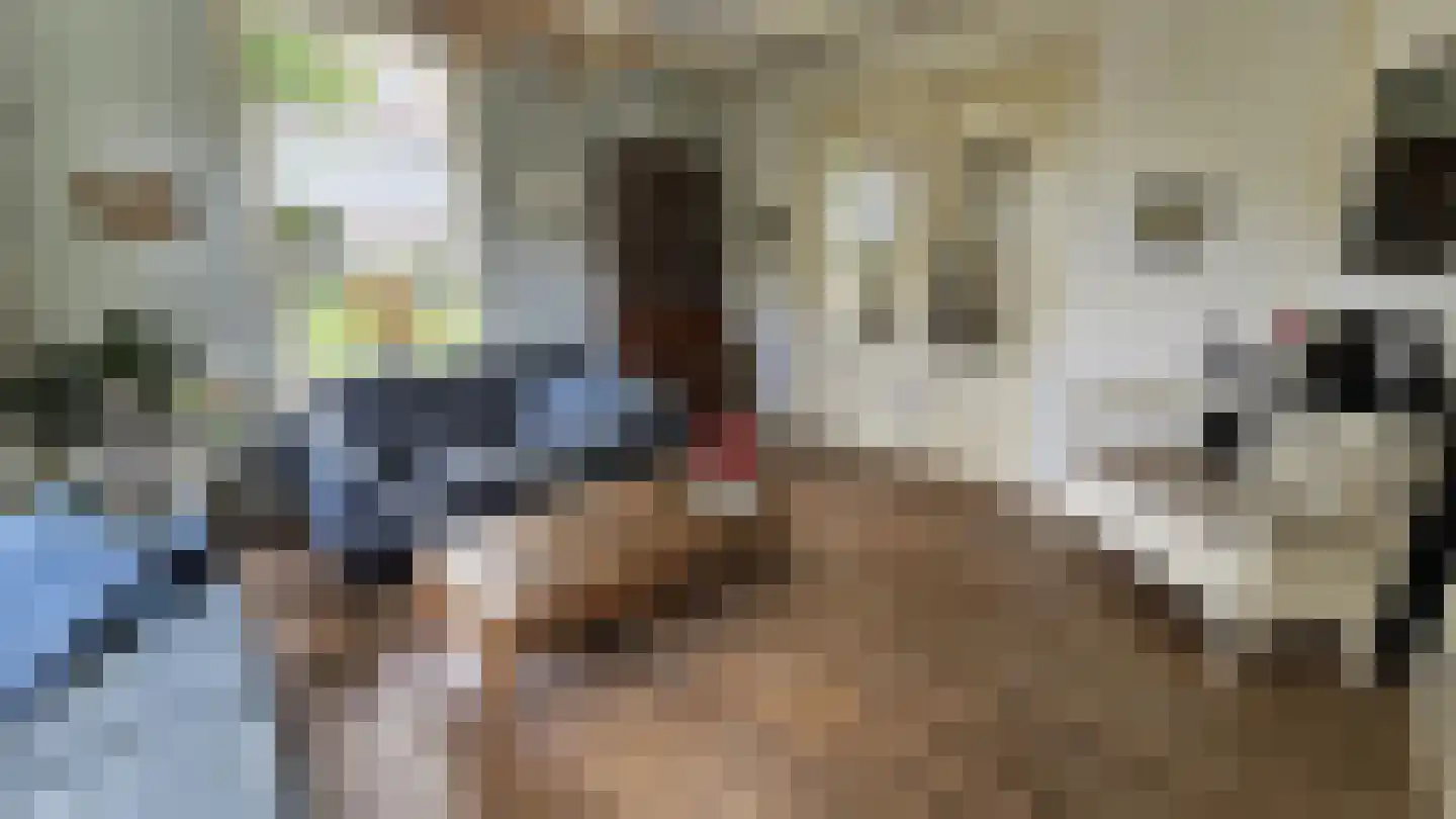 Zuideinde 190 Westzaan thumbnail 17