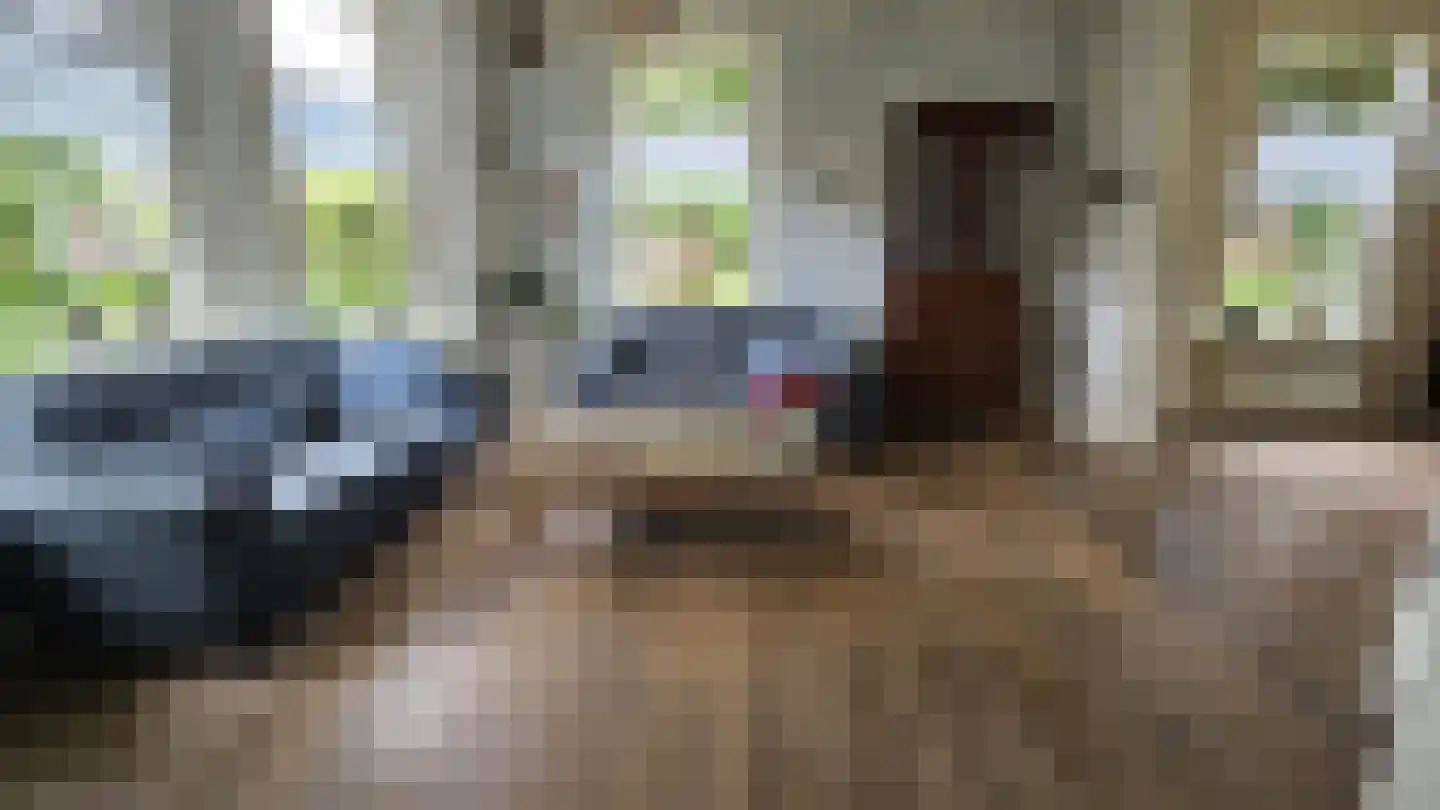 Zuideinde 190 Westzaan thumbnail 18