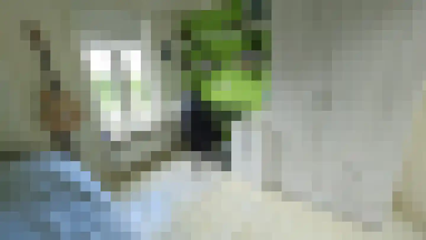 Zuideinde 190 Westzaan thumbnail 26