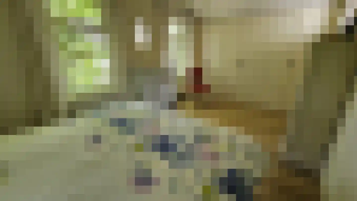 Zuideinde 190 Westzaan thumbnail 36