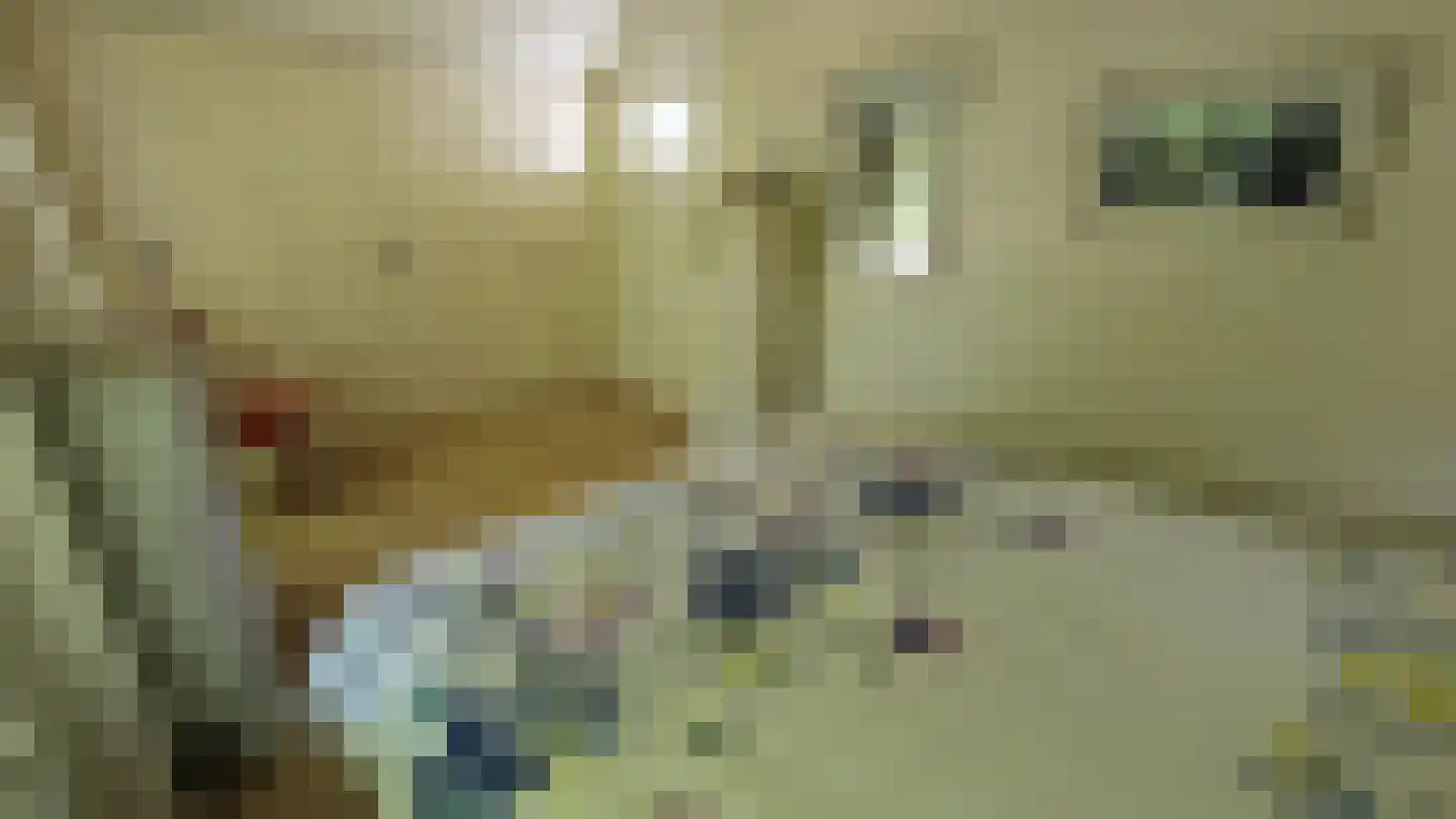 Zuideinde 190 Westzaan thumbnail 37