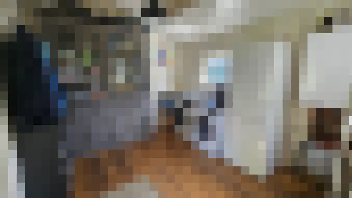 Zuideinde 190 Westzaan thumbnail 39