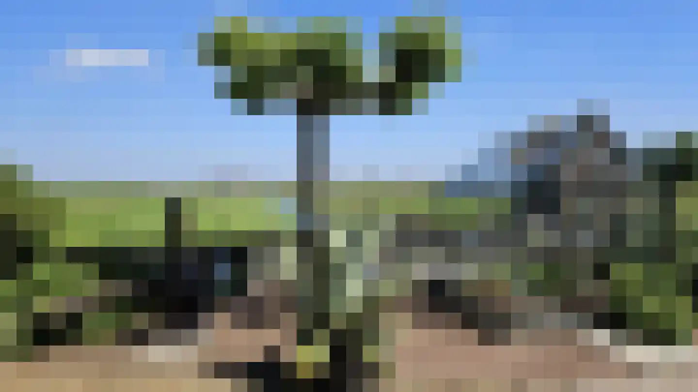 Zuideinde 190 Westzaan thumbnail 4