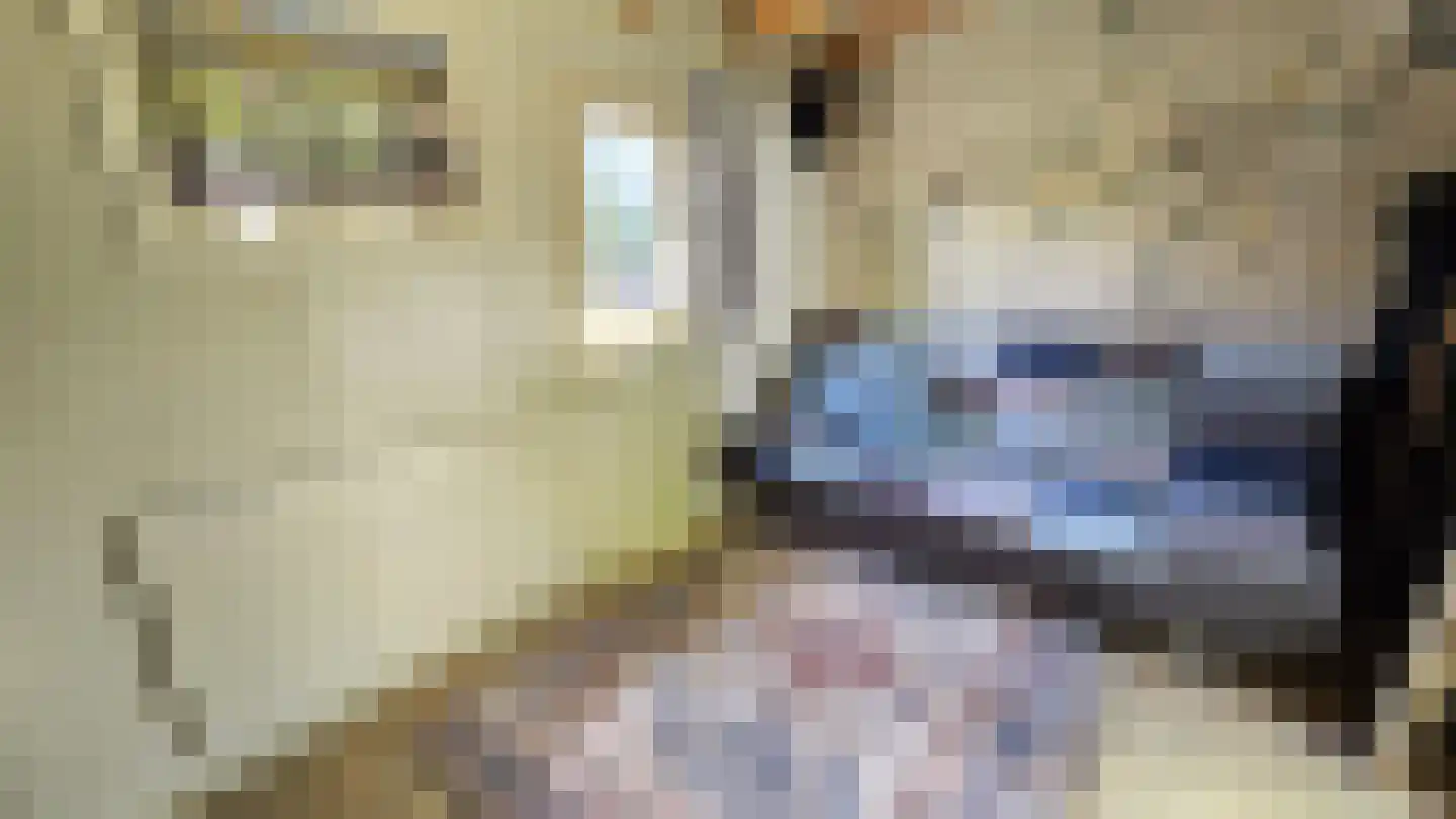 Zuideinde 190 Westzaan thumbnail 44