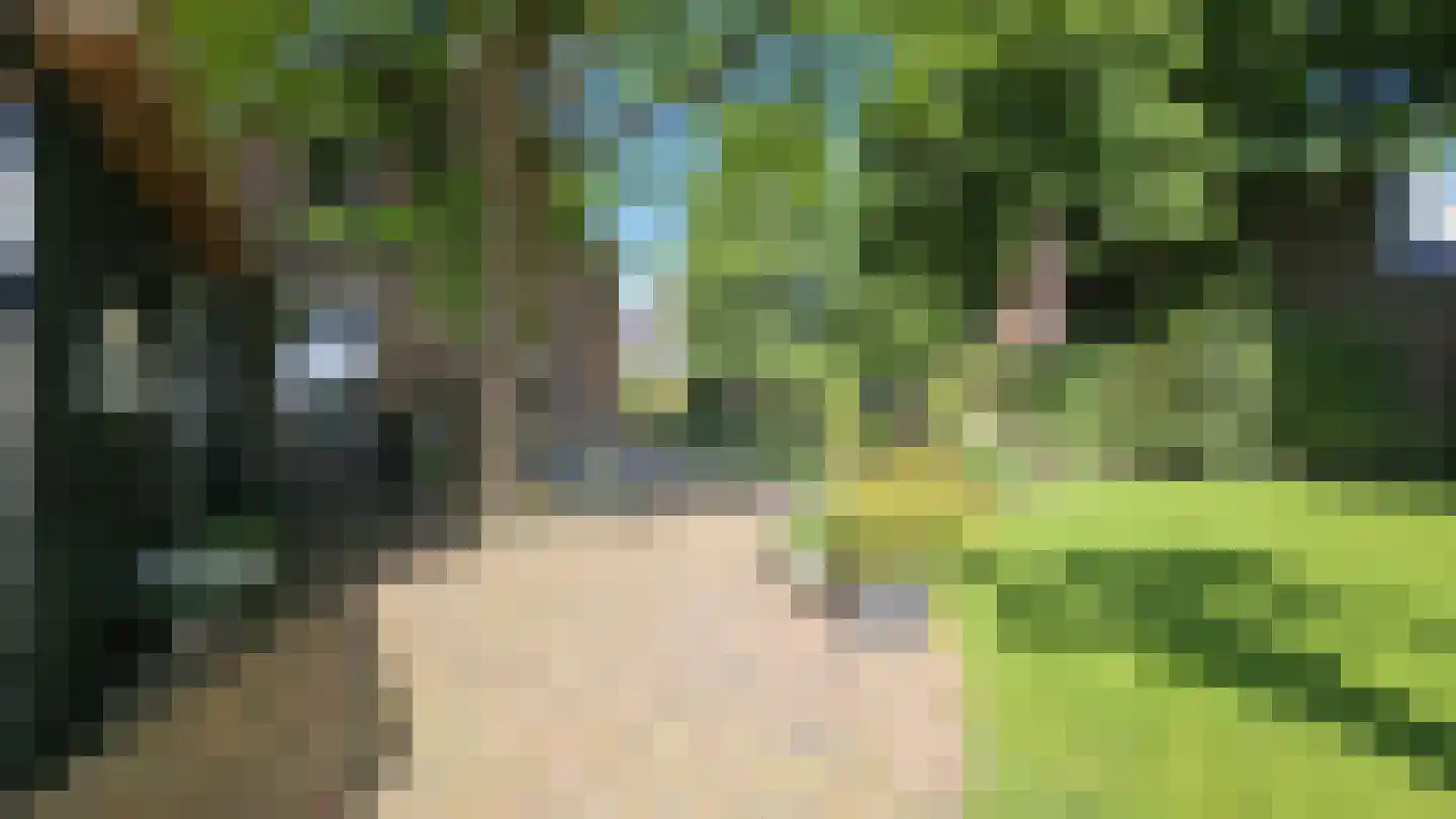 Zuideinde 190 Westzaan thumbnail 46