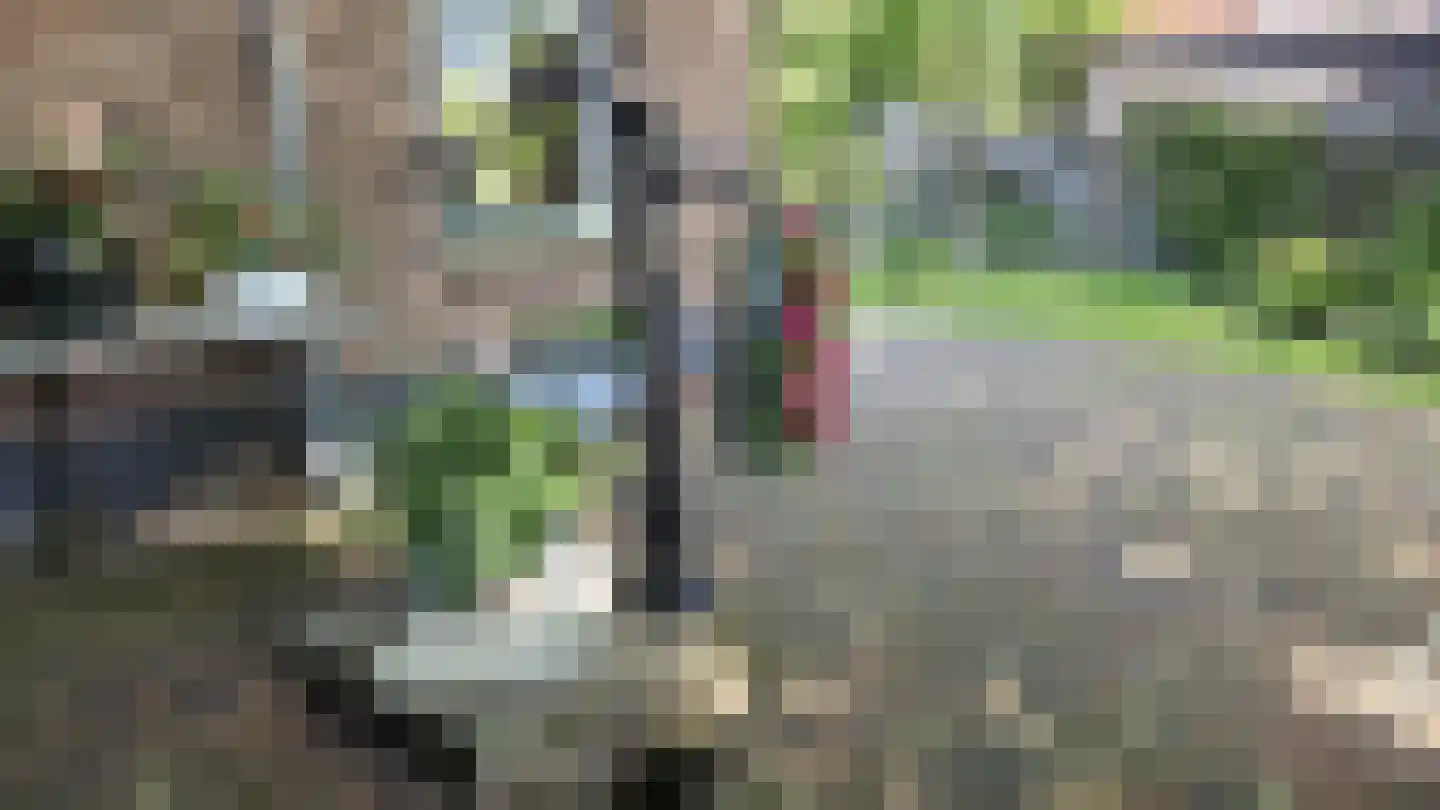 Zuideinde 190 Westzaan thumbnail 47
