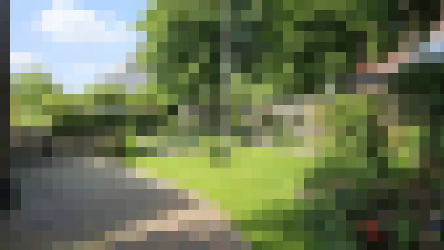 Zuideinde 190 Westzaan thumbnail 48