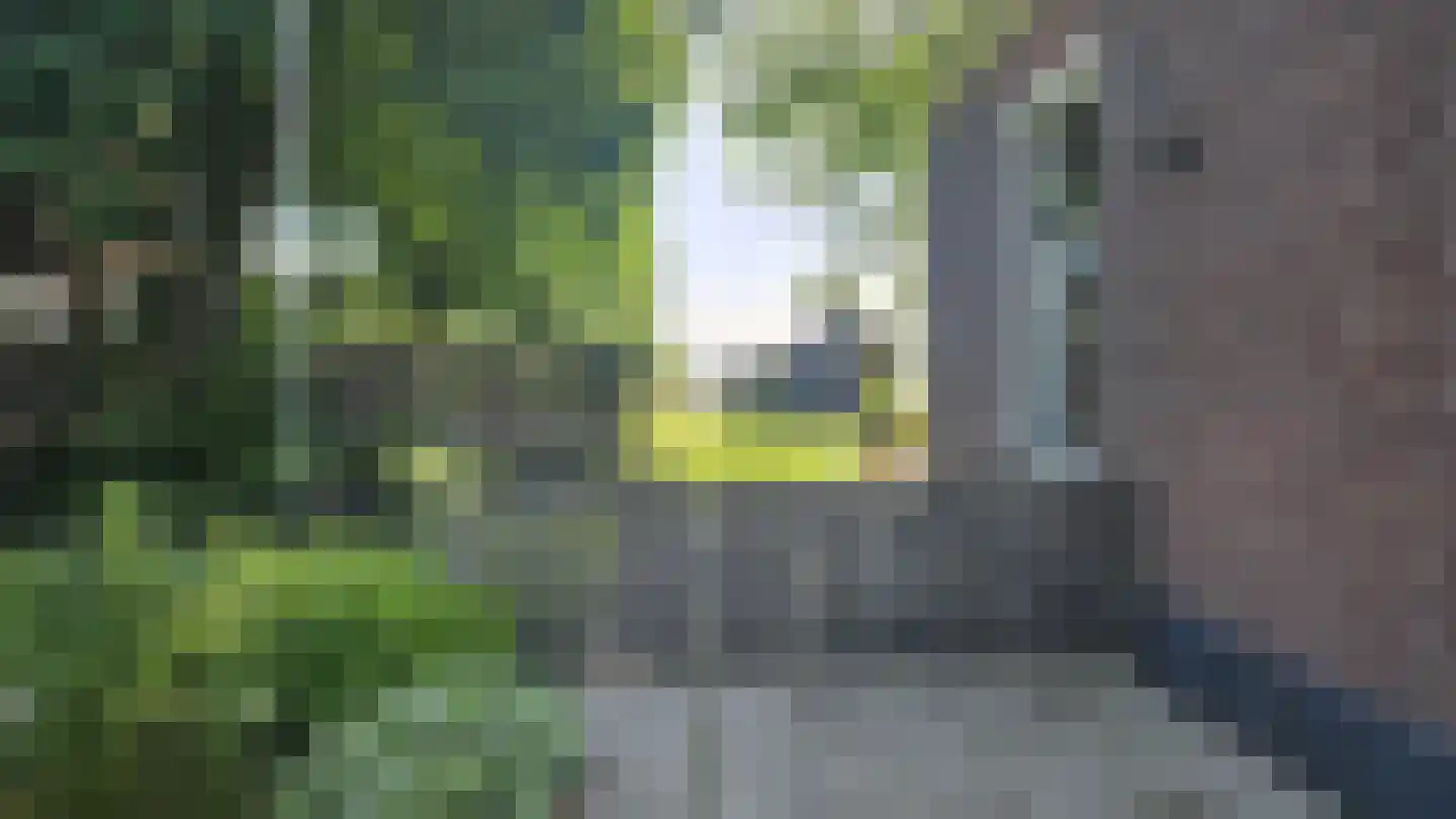 Zuideinde 190 Westzaan thumbnail 57
