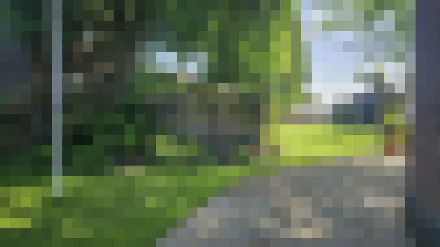 Zuideinde 190 Westzaan thumbnail 58