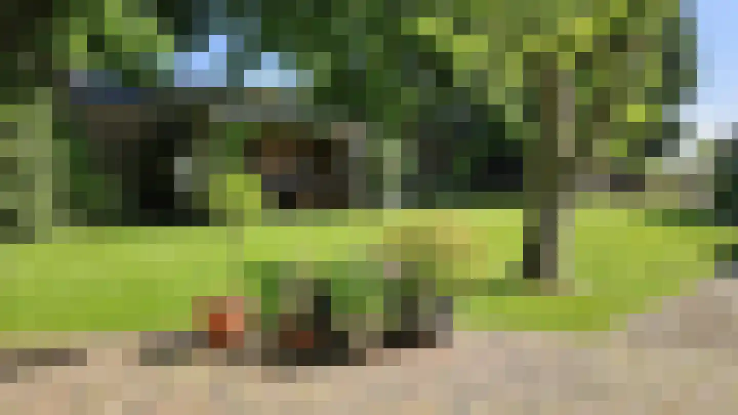 Zuideinde 190 Westzaan thumbnail 59