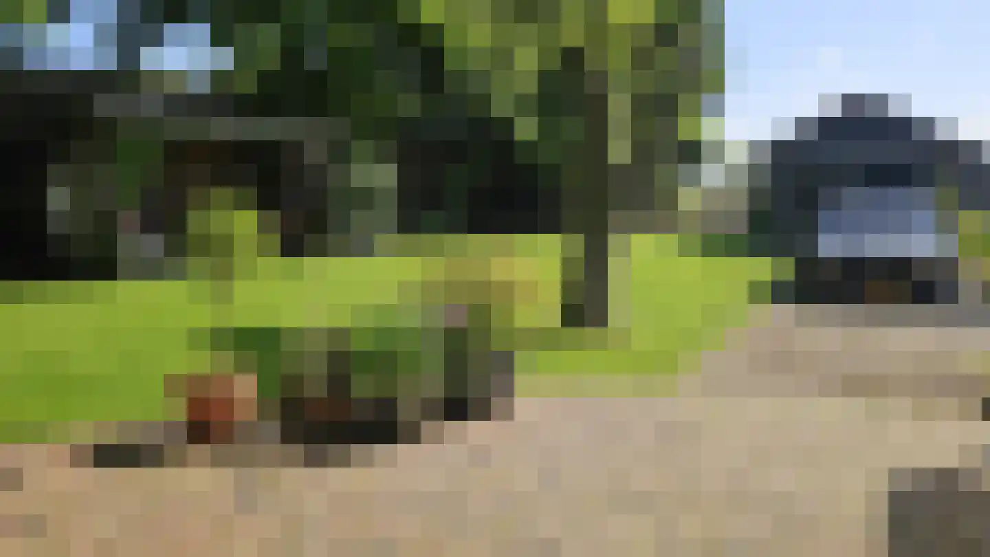 Zuideinde 190 Westzaan thumbnail 61
