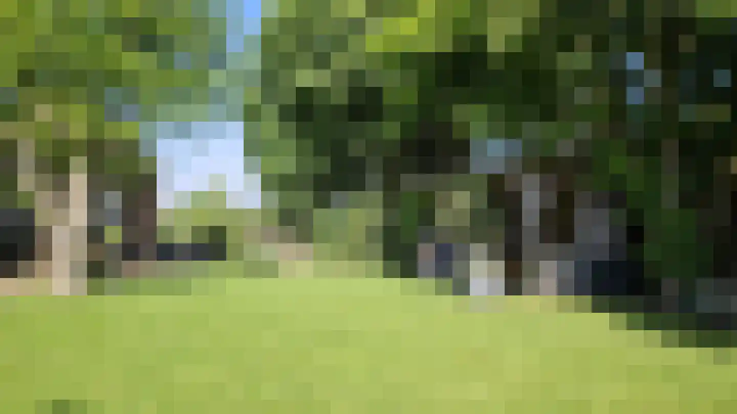 Zuideinde 190 Westzaan thumbnail 64