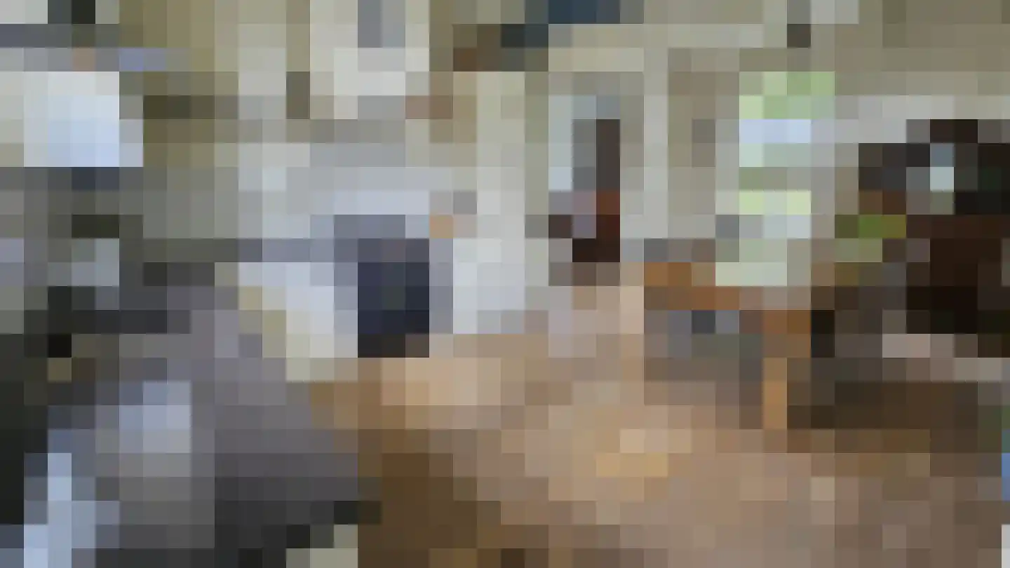 Zuideinde 190 Westzaan thumbnail 7