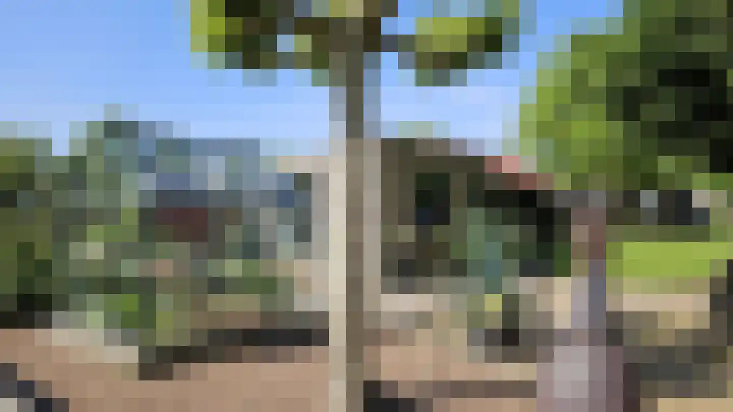 Zuideinde 190 Westzaan thumbnail 73