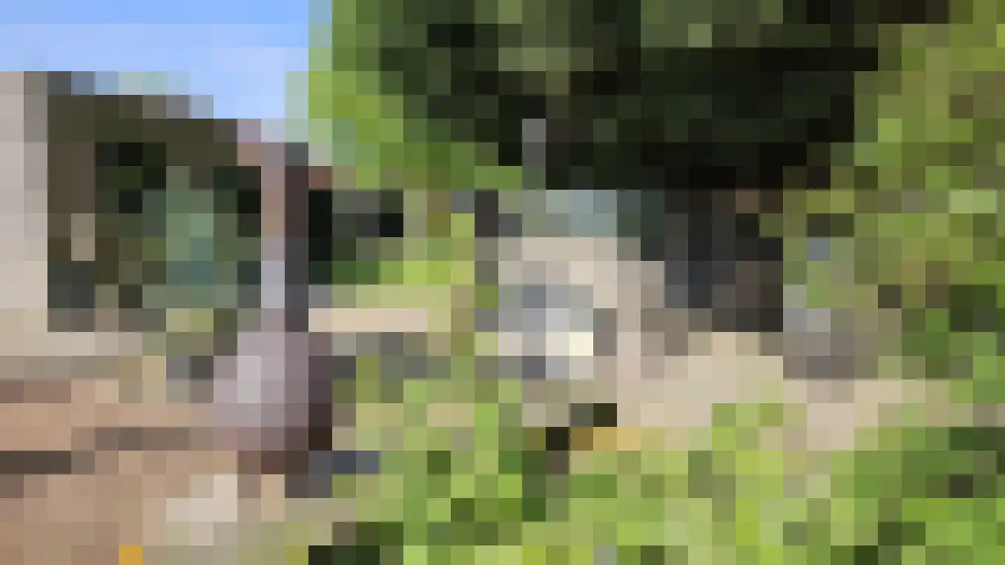 Zuideinde 190 Westzaan thumbnail 74